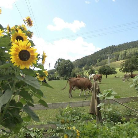 엘자흐 Urlaub Auf Dem Haenslehof 아파트 외부 사진