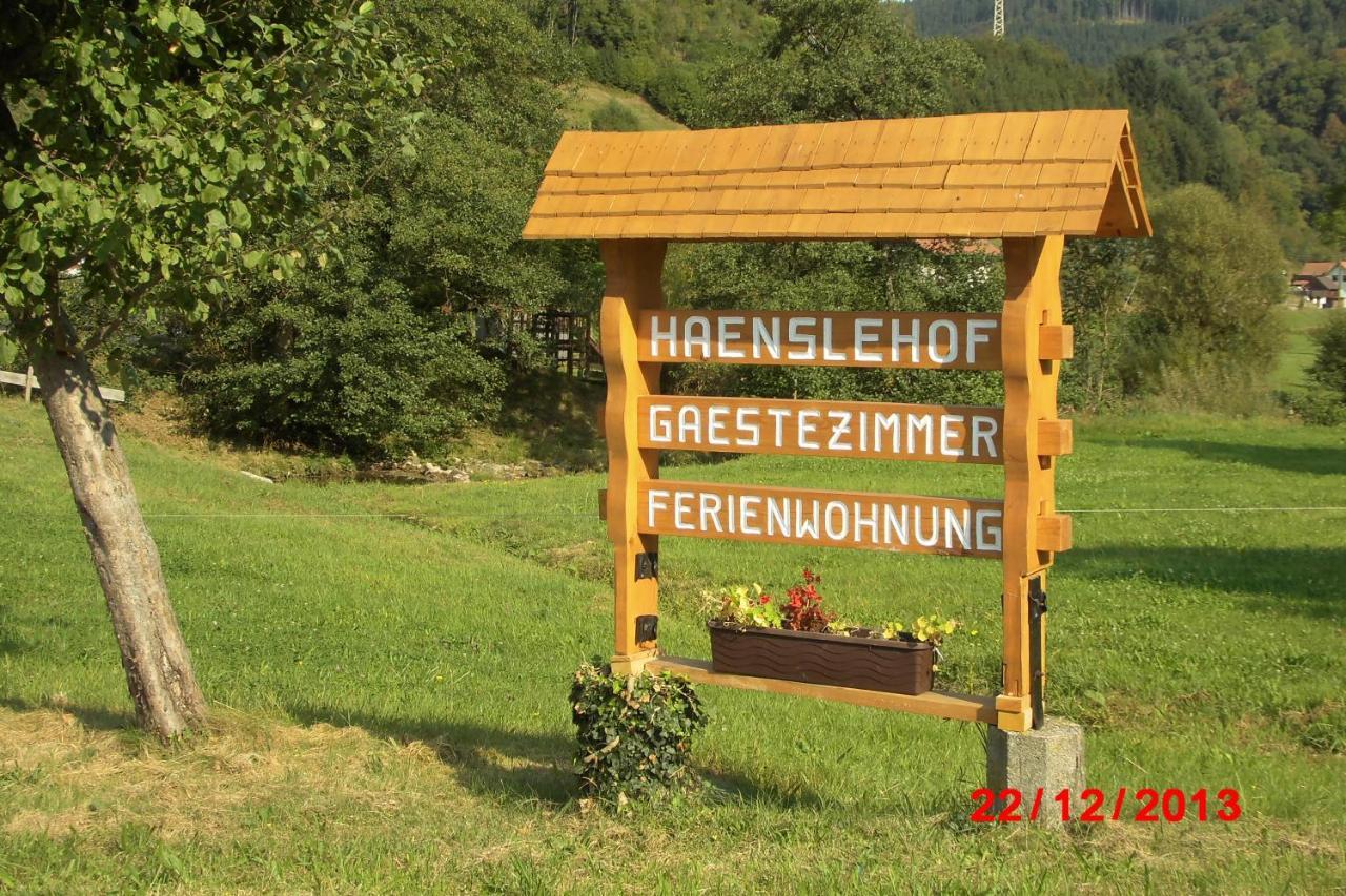 엘자흐 Urlaub Auf Dem Haenslehof 아파트 외부 사진
