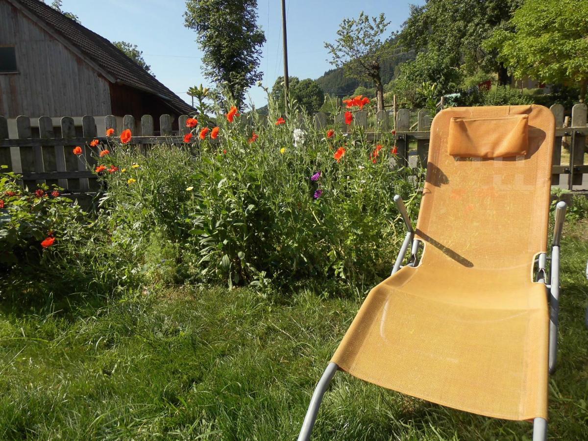 엘자흐 Urlaub Auf Dem Haenslehof 아파트 외부 사진