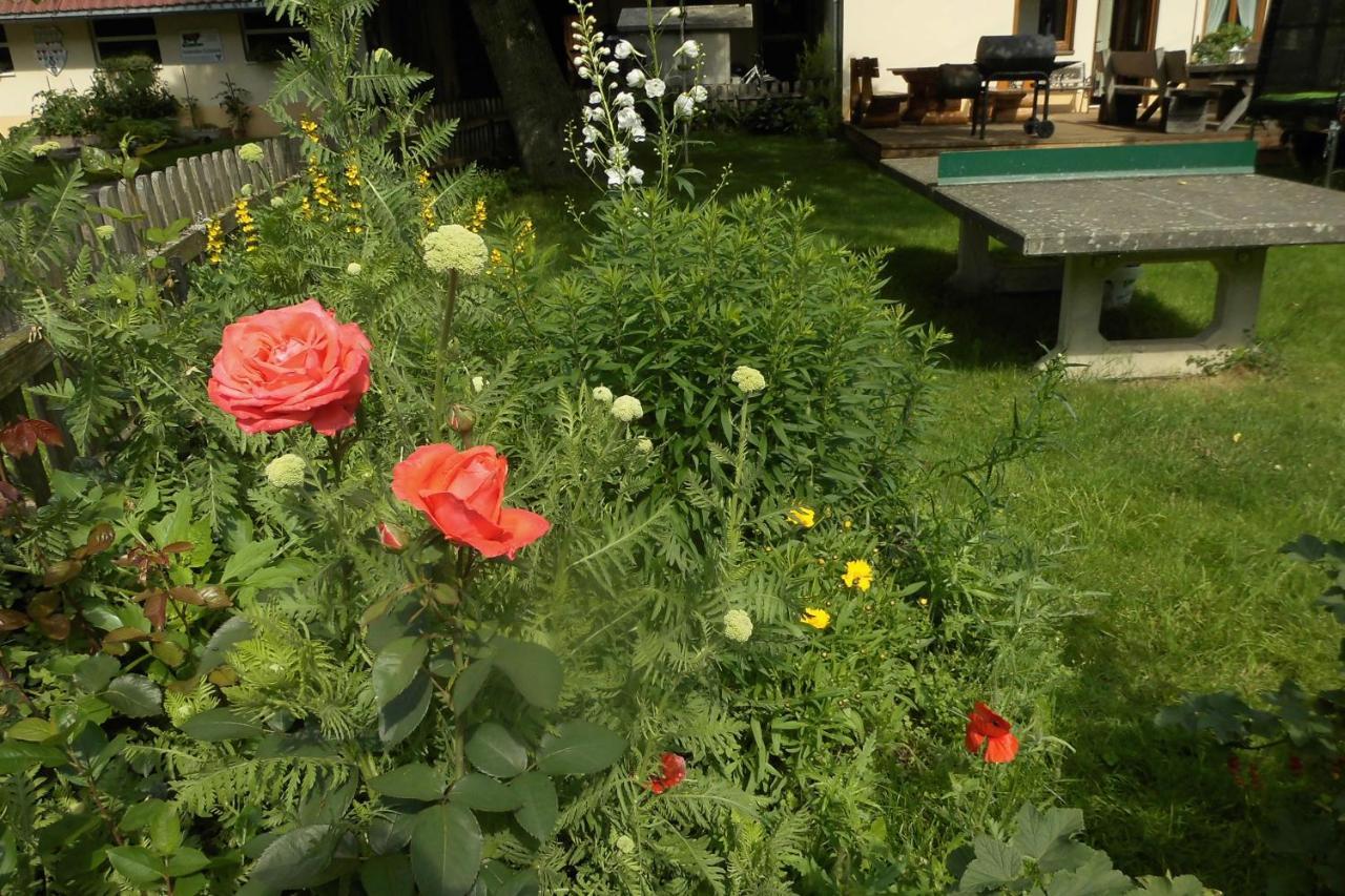 엘자흐 Urlaub Auf Dem Haenslehof 아파트 외부 사진