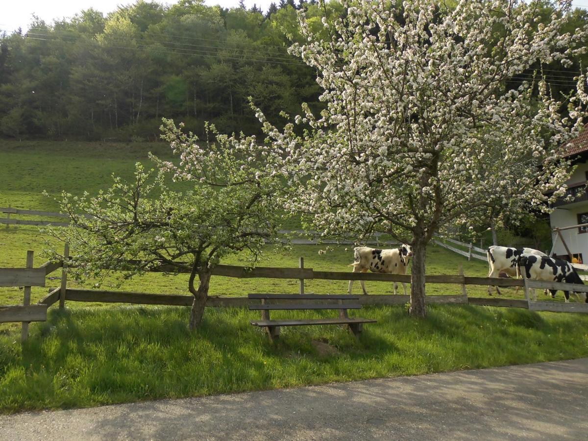 엘자흐 Urlaub Auf Dem Haenslehof 아파트 외부 사진