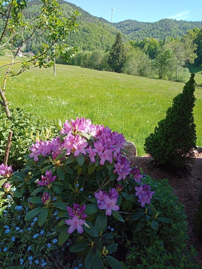 엘자흐 Urlaub Auf Dem Haenslehof 아파트 외부 사진