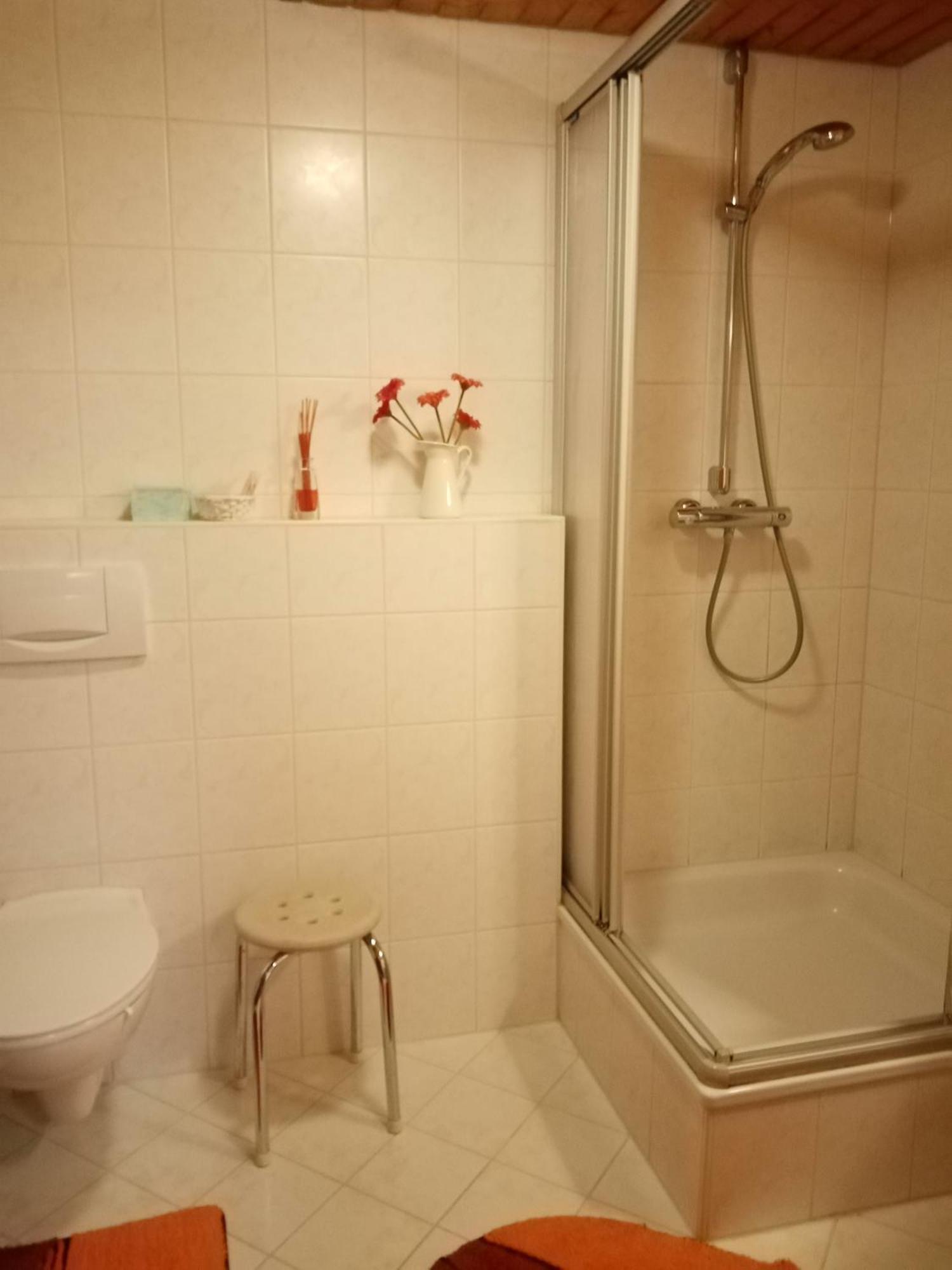 엘자흐 Urlaub Auf Dem Haenslehof 아파트 외부 사진