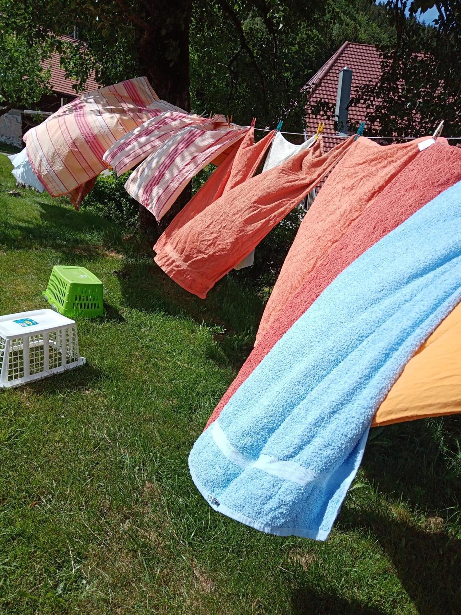엘자흐 Urlaub Auf Dem Haenslehof 아파트 외부 사진