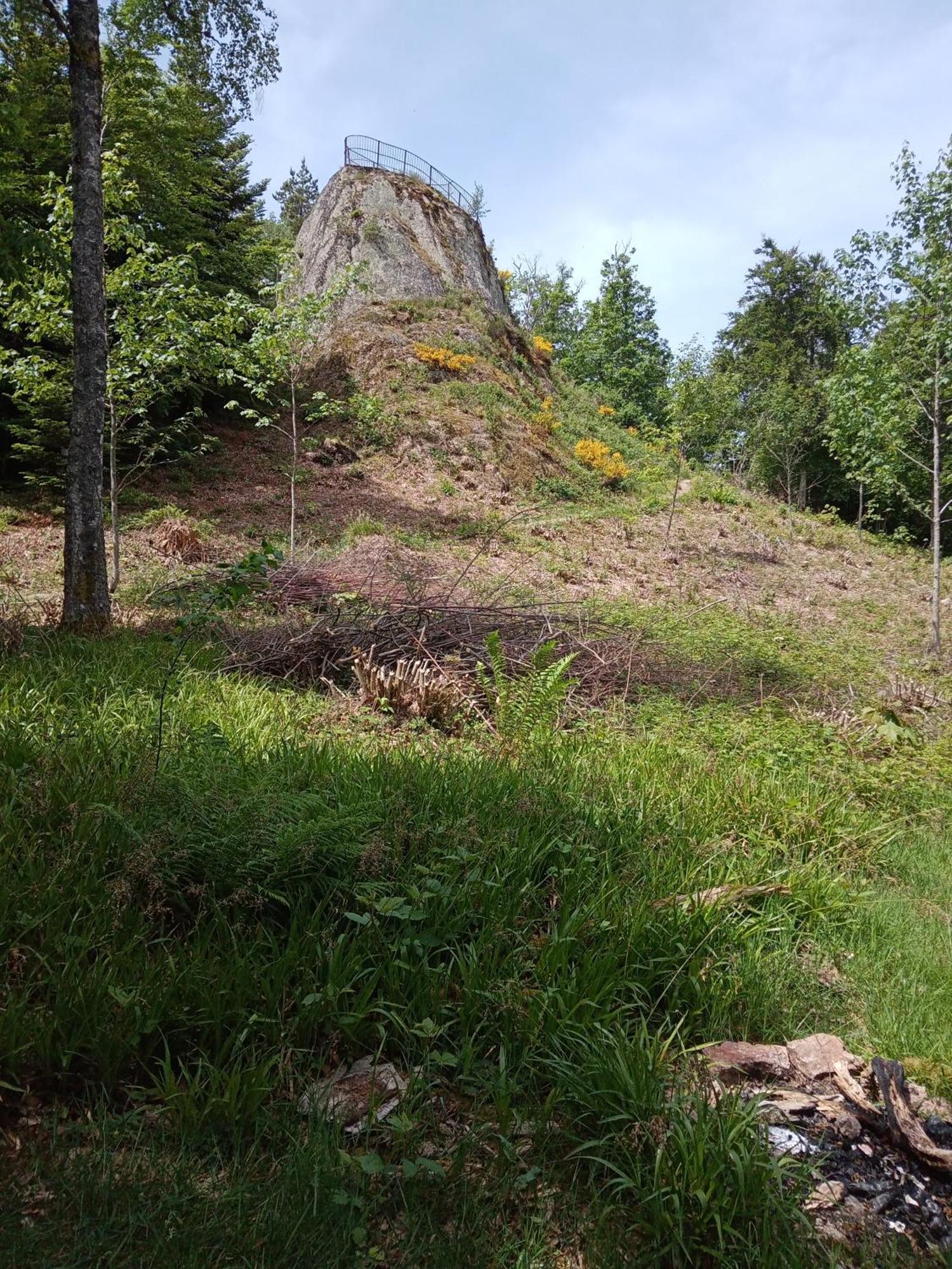 엘자흐 Urlaub Auf Dem Haenslehof 아파트 외부 사진