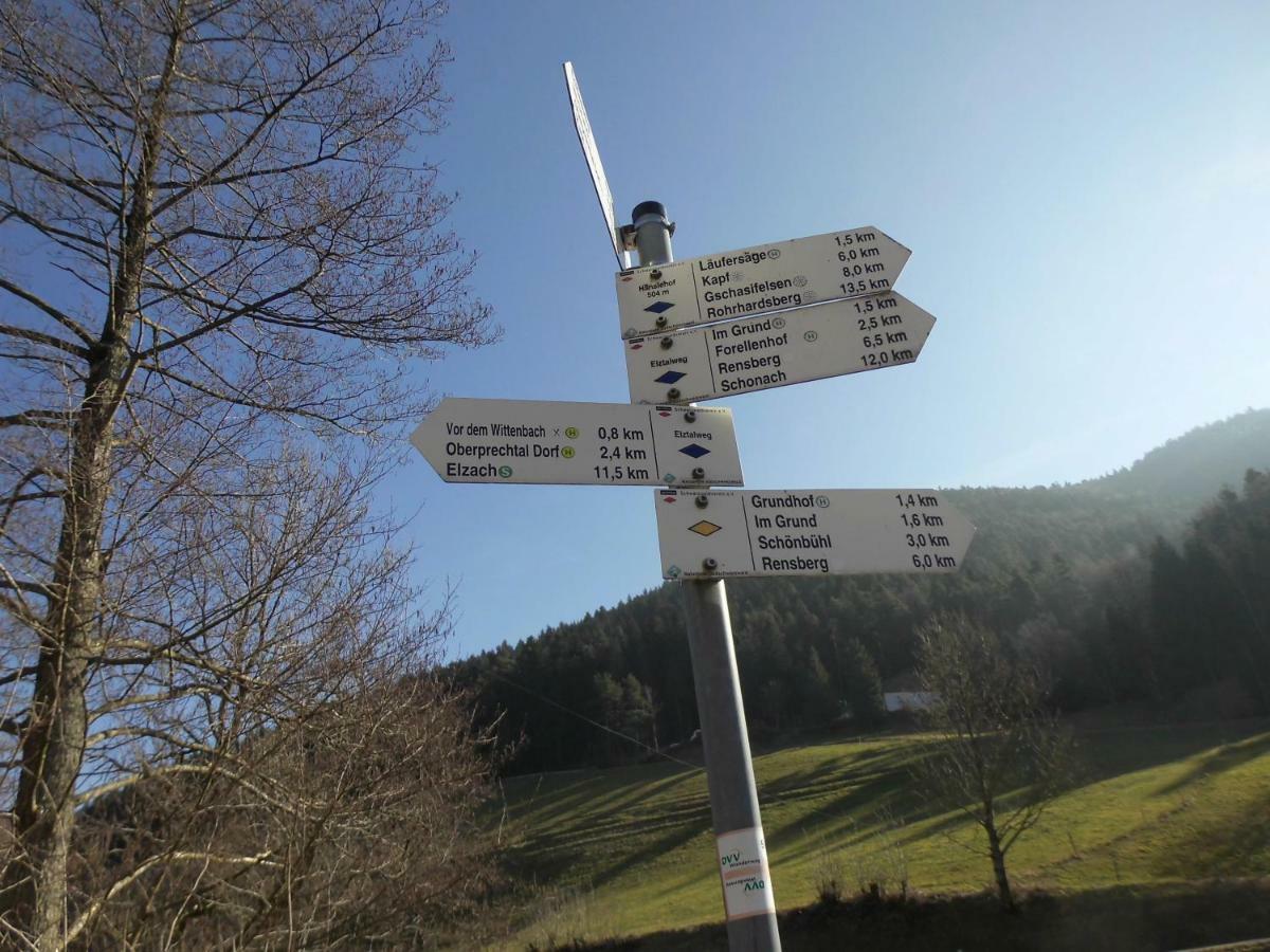 엘자흐 Urlaub Auf Dem Haenslehof 아파트 외부 사진